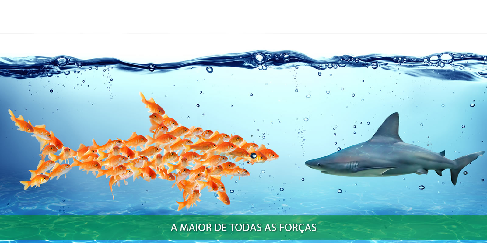 Figura 5 - TRABALHO EM EQUIPE. A ÚNICA FORMA DE CONSEGUIR RESULTADOS EXPRESSIVOS